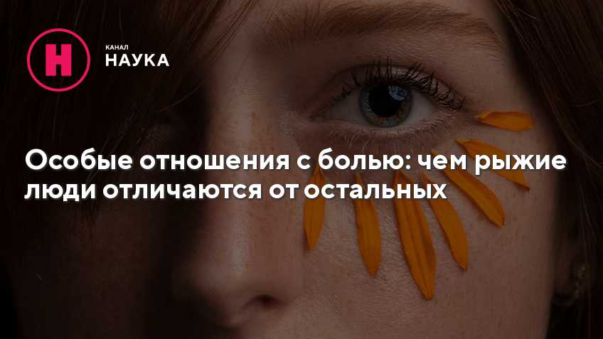 Рыжий папа, рыжий дед, рыжим стал весь белый свет
