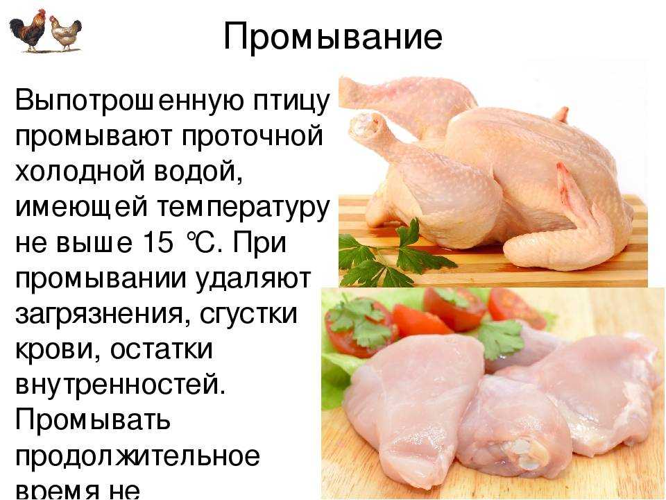 Необычные блюда из мяса. часть 2: "рецепты выживания" из дичи, на которую не нужно лицензии