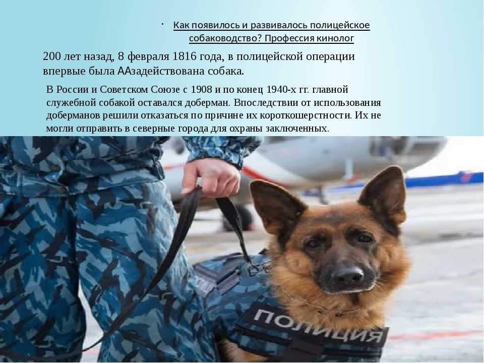 Размеры таза в акушерстве