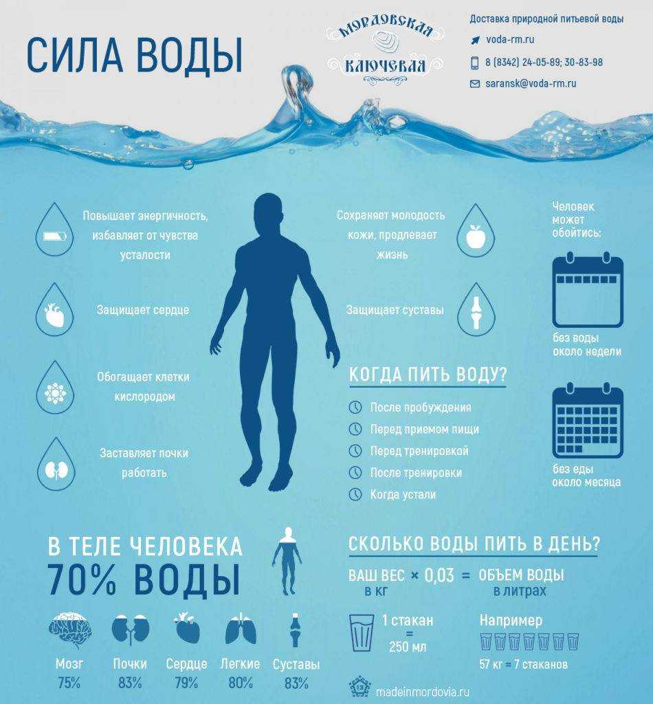 Сколько алкоголя можно пить без вреда для здоровья? – напоправку