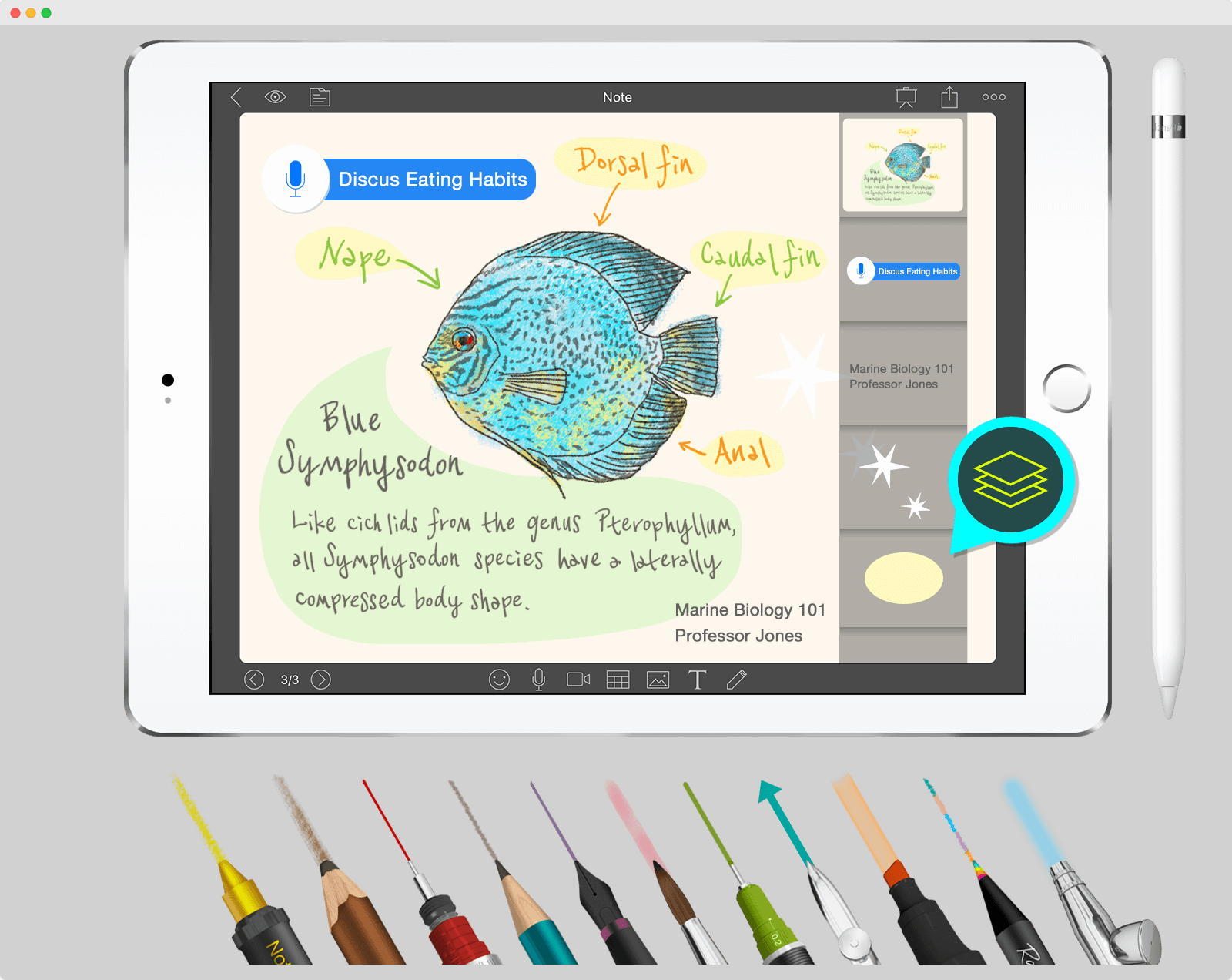 Чем заменить evernote: 12 альтернатив под любые платформы