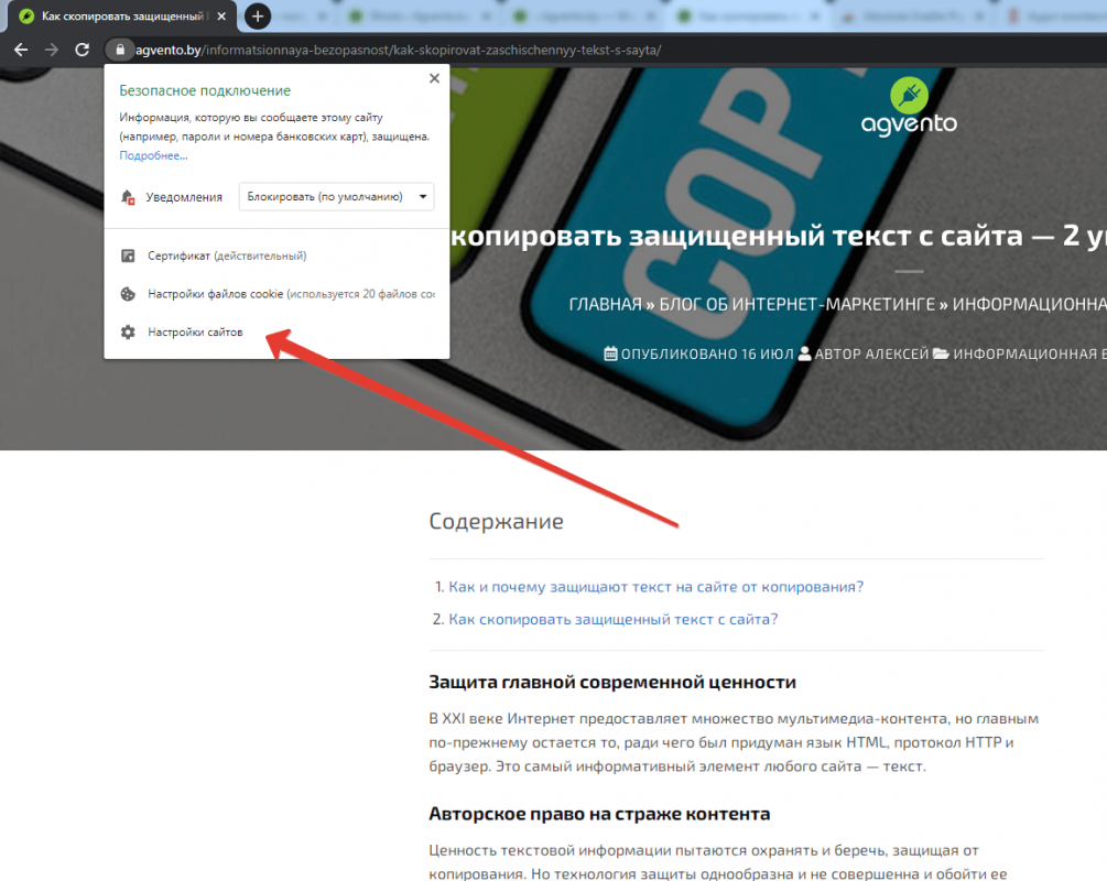Как сделать отводок пчел: формирование отводков самым простым способом, весной, осенью, с маткой, без матки