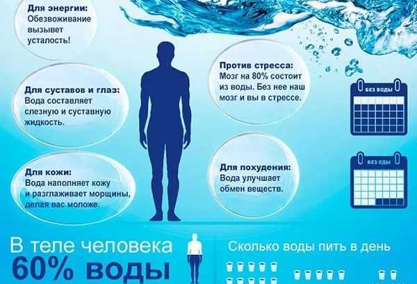 Влияние алкоголя на сердце человека ️: вред и польза